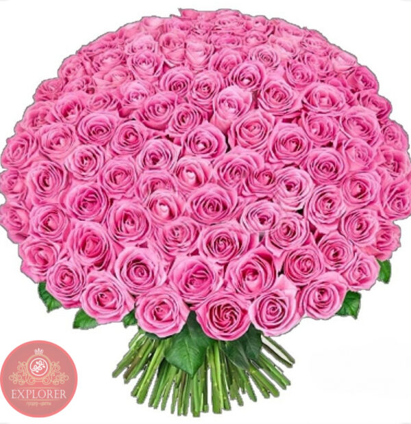 Букет из 101 розы сорта Пинк флойд 60-70 см